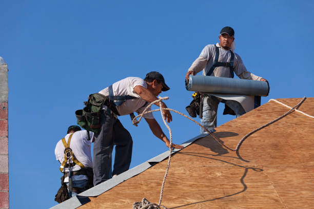 Best Gutter Installation and Roofing  in Amboy, WA